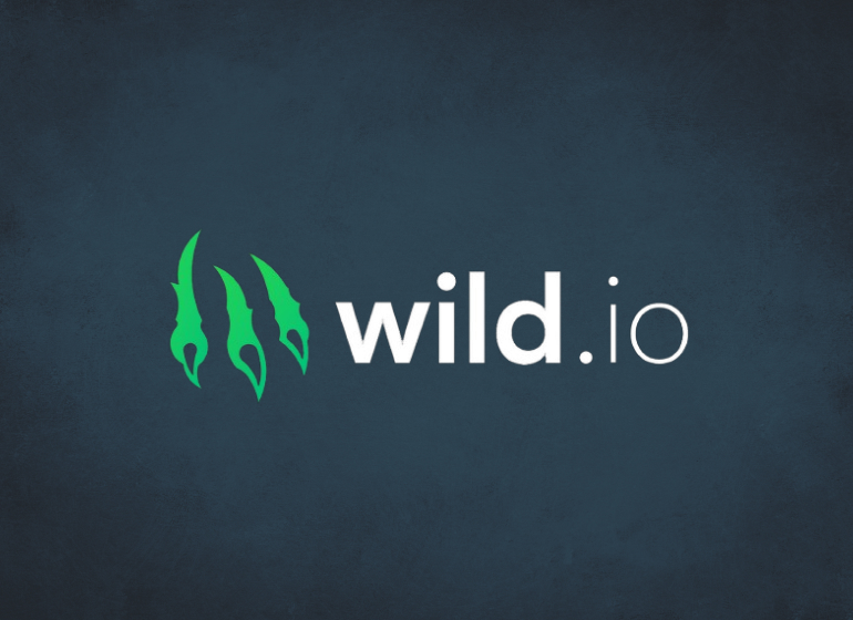 Wild.io review